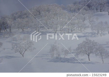 冬天的景色 15023249