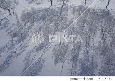 冬天的景色 15023250