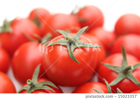 Tomato   15023357