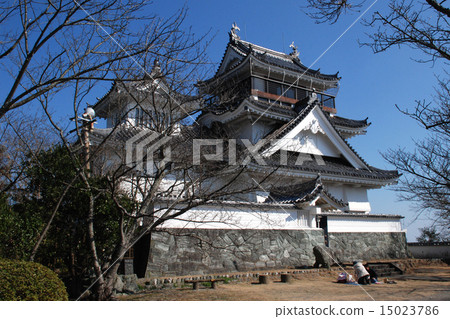 Pacific Castle Tempo 15023786