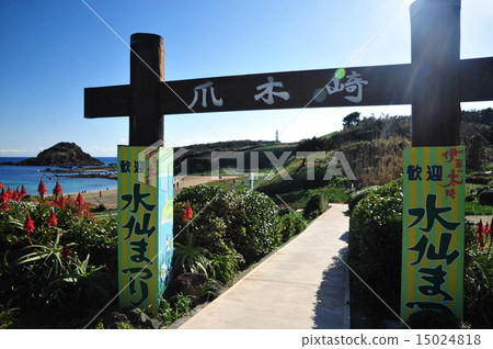 Izu Nunikisaki Izu Nunikisaki 15024818