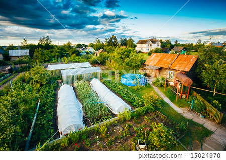 Raised Beds In Vegetable Garden 15024970