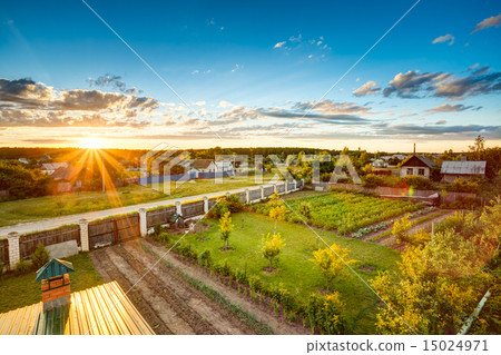 Raised Beds In Vegetable Garden 15024971