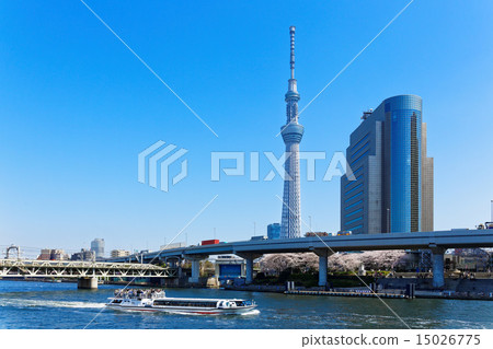 On the sky tree spreading the blue sky, the Sumida River and the Water Boat Bath full of cherry blossoms 15026775