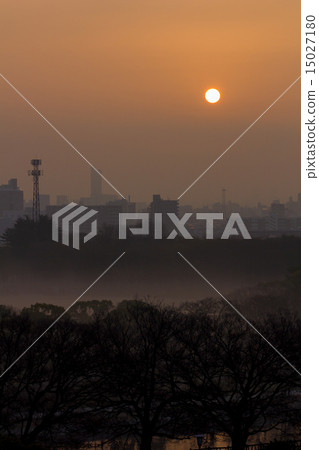 從大阪城公園的日出 15027180