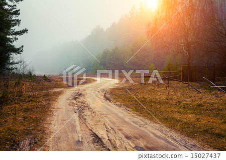 Rural foggy morning Rural foggy morning 15027437