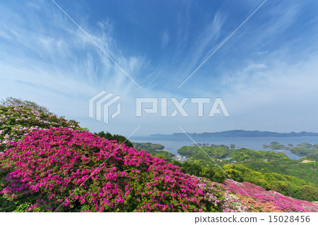 Azalea Azalea 15028456