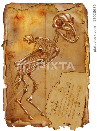 Harpy - legendary animals and monsters Harpy - legendary animals and monsters 15028686