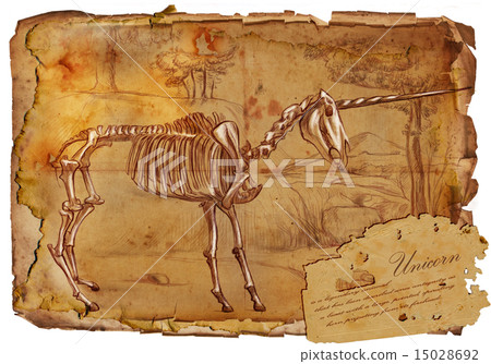 Unicorn - legendary animals and monsters 15028692