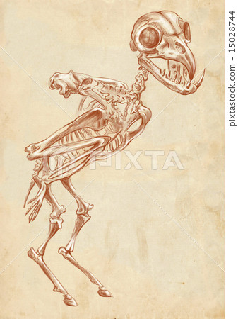 Harpy - legendary animals and monsters Harpy - legendary animals and monsters 15028744
