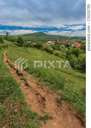 rural landscape 15028780