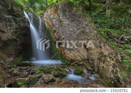 stream in Gorge Tasnei. Baile Herculane, Romania 15028781