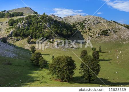 The Mehedinti Mountains 15028889