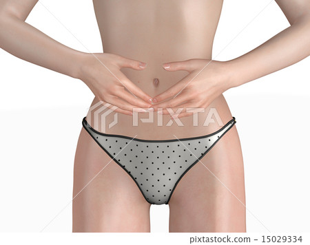 Female stomach real 3DCG illustration material 15029334