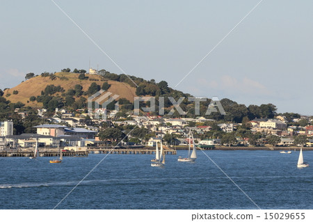 Auckland 15029655