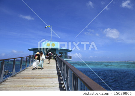 關島水下觀測塔 關島水下觀測塔 15029905