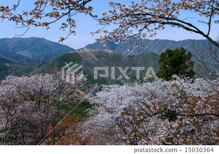 武田城堡廢墟看法從寺廟雲彩的 15030364