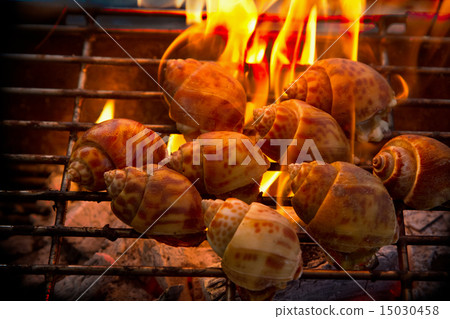 Grilled spotted babylon shell on flaming Grilled spotted babylon shell on flaming 15030458