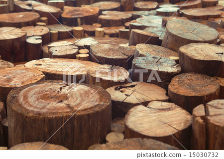 Teak wood stump background Teak wood stump background 15030732