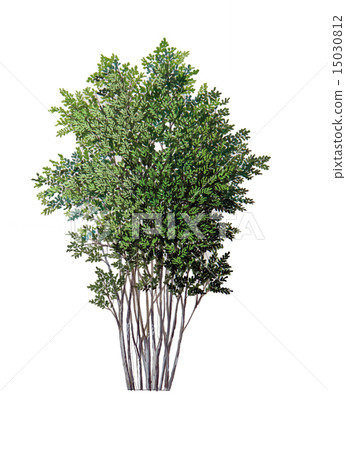 Aodamo's sketch precision planting picture Aodamo's sketch precision planting picture 15030812