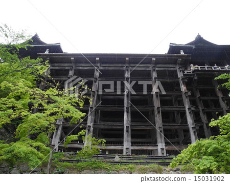 清水寺的支柱 清水寺的支柱 15031902