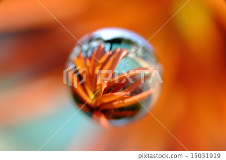 Spherical ball 15031919