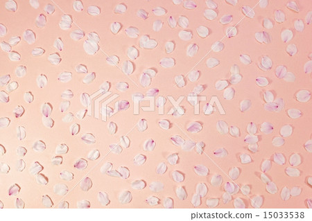 Present background material · Object of cherry blossom petals · Pink back lateral position 15033538