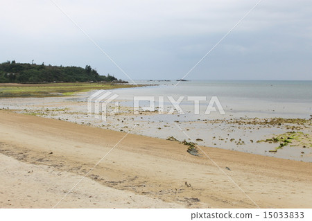 Iriomote石垣國家公園的海岸線 Iriomote石垣國家公園的海岸線 15033833