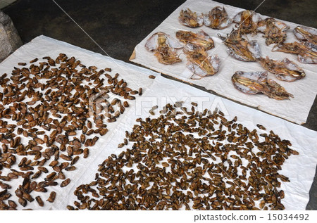 Dried oysters and dried squid Dried oysters and dried squid 15034492