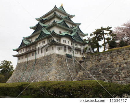 Nagoya castle and cherry tree # 4 15034737