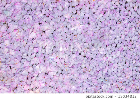 Cherry blossoms floating in water raft Cherry blossoms floating in water raft 15034812