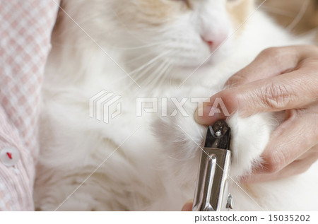 Cat nail clippers Cat nail clippers 15035202