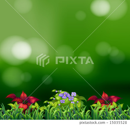Green grass Green grass 15035528