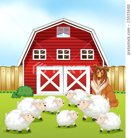 Sheep and barn Sheep and barn 15035688