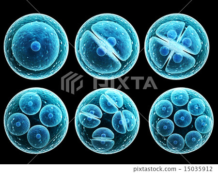 Process division of cell Process division of cell 15035912