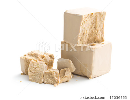 fresh yeast fresh yeast 15036563