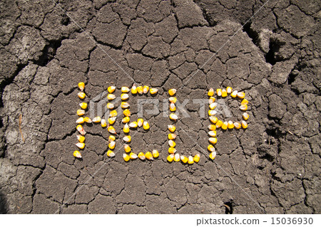word HELP from grains of corn over cracked earth 15036930