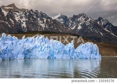 Grey Glacier - Patagonia - Chile 15039176