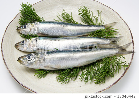 Sardines Sardines 15040442
