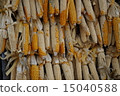 corn  15040588