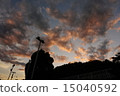 Sky  15040592
