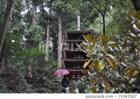 Koyasan in the rain Koyasan in the rain 15042087