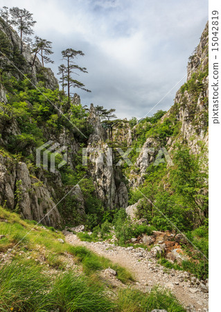 Tasnei Gorge 15042819