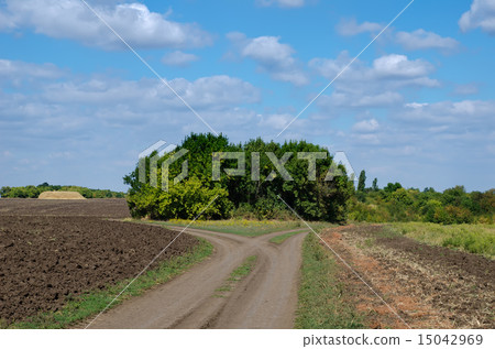 two roads under sky two roads under sky 15042969