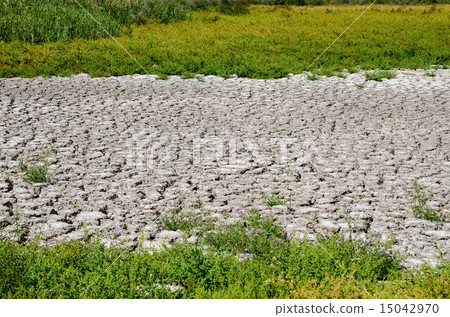 green grass around drought land green grass around drought land 15042970