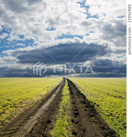 rural road in green field 15042988