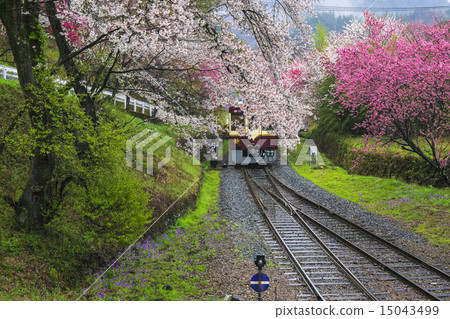 Hanamomi的Watase Valley鐵路7 15043499