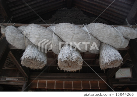 Shimeji（Shichiri Shrine / Matsue City島根縣Higashiizume Town Shakuya） 15044266