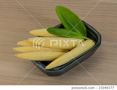 Baby corn 15046377