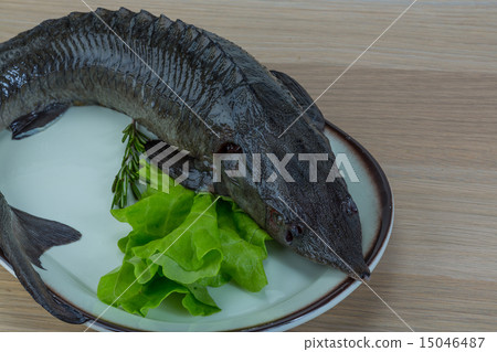 Raw strugeon Raw strugeon 15046487